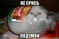 не срись подумой