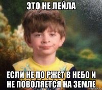 это не лейла если не по ржет в небо и не поволяется на земле