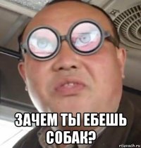  зачем ты ебешь собак?