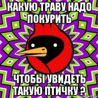 какую траву надо покурить чтобы увидеть такую птичку ?