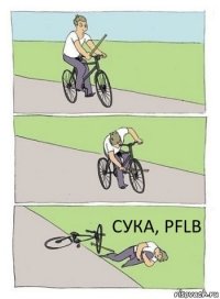 СУКА, PFLB