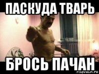 паскуда тварь брось пачан