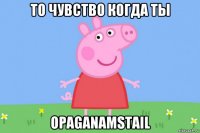 то чувство когда ты opaganamstail