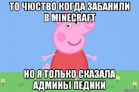 то чюство когда забанили в minecraft но я только сказала админы педики