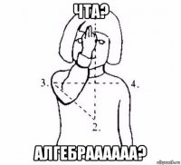 чта? алгебраааааа?