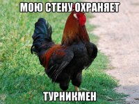 мою стену охраняет турникмен