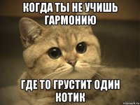 когда ты не учишь гармонию где то грустит один котик