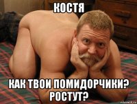 костя как твои помидорчики? ростут?