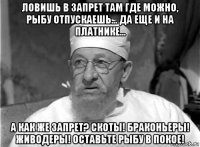 ловишь в запрет там где можно, рыбу отпускаешь... да еще и на платнике... а как же запрет? скоты! браконьеры! живодеры! оставьте рыбу в покое!