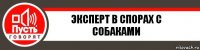 Эксперт в спорах с собаками