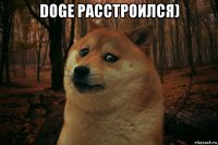 doge расстроился) 