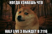 когда узнаешь что half live 3 выйдет в 2116