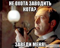 не охота заводить кота?, заведи меня!