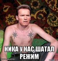  ника у нас шатал режим