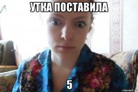 утка поставила 5