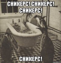 сникерс! сникерс! сникерс! сникерс!