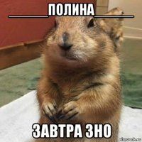 _____полина_____ завтра зно