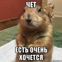 чет есть очень хочется