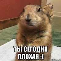  ты сегодня плохая :(