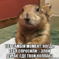  тот самый момент, когда тебя спросили: - злой дурак, где твой колпак?