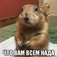  что вам всем нада