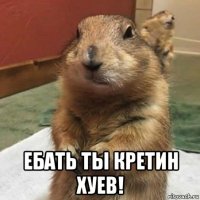  ебать ты кретин хуев!