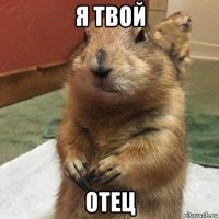 я твой отец