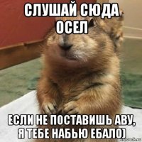 слушай сюда осел если не поставишь аву, я тебе набью ебало)