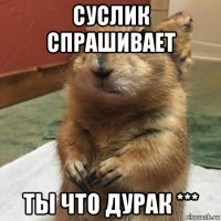 суслик спрашивает ты что дурак ***