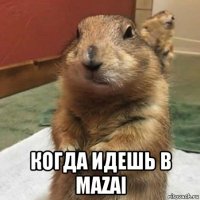  когда идешь в mazai