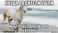 когда родители ушли и ты пошёл дрочить на гейпорно