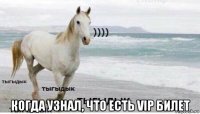  когда узнал, что есть vip билет