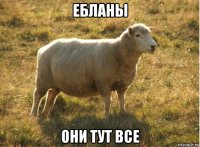 ебланы они тут все