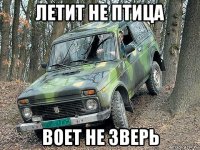 летит не птица воет не зверь