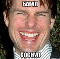 багул соснул