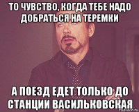 то чувство, когда тебе надо добраться на теремки а поезд едет только до станции васильковская