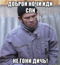 доброй ночи,иди спи не гони дичь!