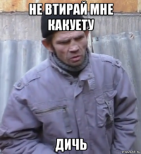 не втирай мне какуету дичь