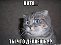 витя... ты что делаешь??