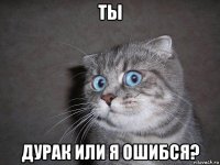 ты дурак или я ошибся?