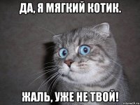 да, я мягкий котик. жаль, уже не твой!