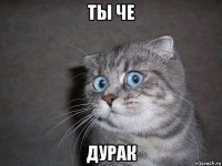 ты че дурак