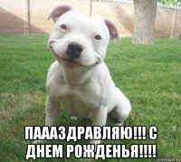  паааздравляю!!! с днем рожденья!!!!