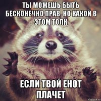 ты можешь быть бесконечно прав, но какой в этом толк если твой енот плачет