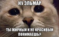 ну эльмар ты жирный и не красивый понимаешь?