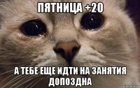 пятница +20 а тебе еще идти на занятия допоздна