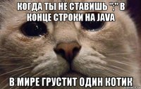 когда ты не ставишь ";" в конце строки на java в мире грустит один котик