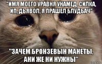 "имя моего уравня унамед, силка, ип, дьявол, я прашел блудбач" "зачем бронзевын манеты, ани же ни нужны"