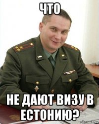 что не дают визу в естонию?