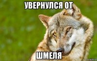 увернулся от шмеля